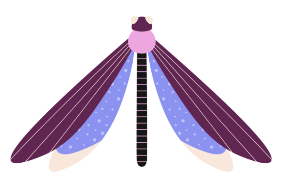 Decorative Dragonfly Color Drawing. Summ: Elevating Summer Nature Art for Creative Projects