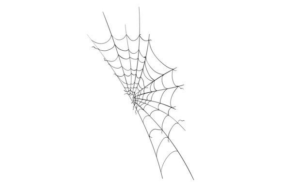 Decorative Spider Web. Arachnid Net Blac: Elevating Digital and Physical Aesthetics