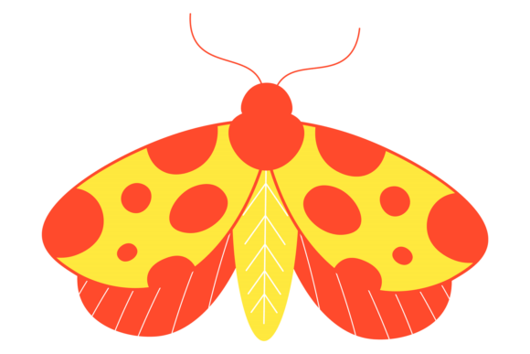 Evaluating the Summer Moth: A Versatile Decorative Nature Element for Digital Design